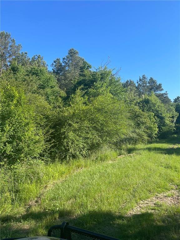0 West Bryant Road Center Point, LA 71323 - Photo 7 of 20 Gallery Image 7