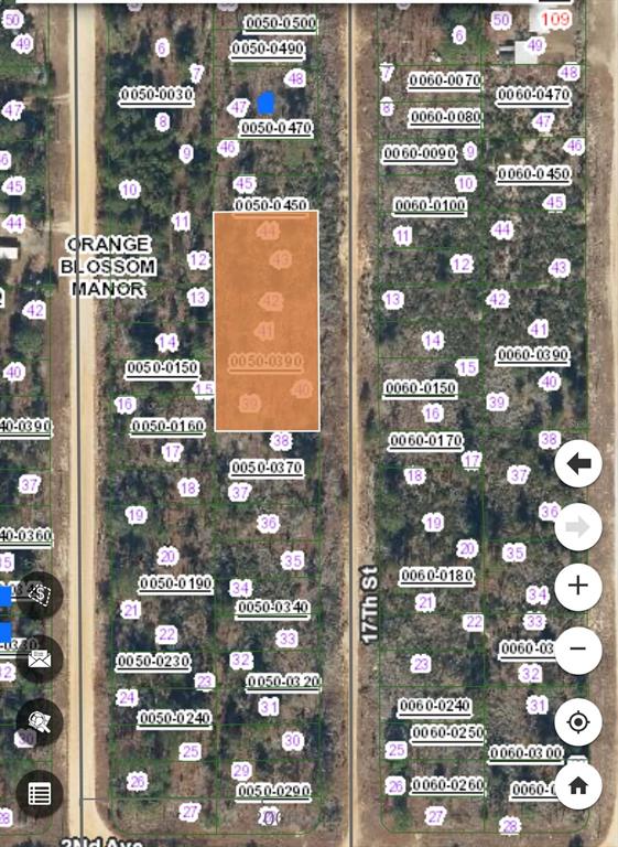 39 17th Street Interlachen, FL 32148 - Photo 6 of 11