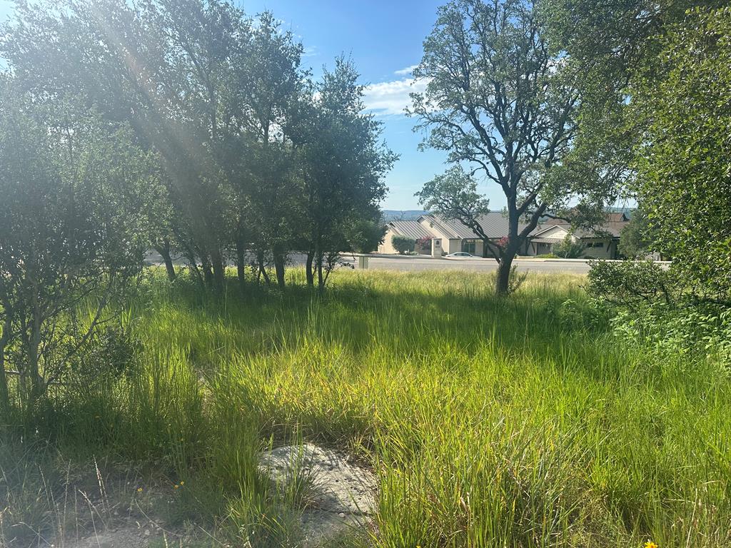 4032 Comanche Trace Drive Kerrville, TX 78028 - Photo 4 of 13 a view of lake background with house