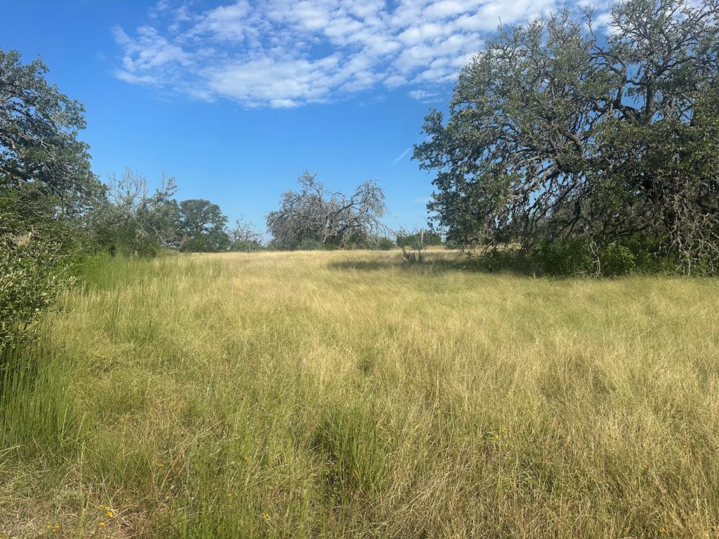 4032 Comanche Trace Drive Kerrville, TX 78028 - Photo 7 of 13 a view of a lake view