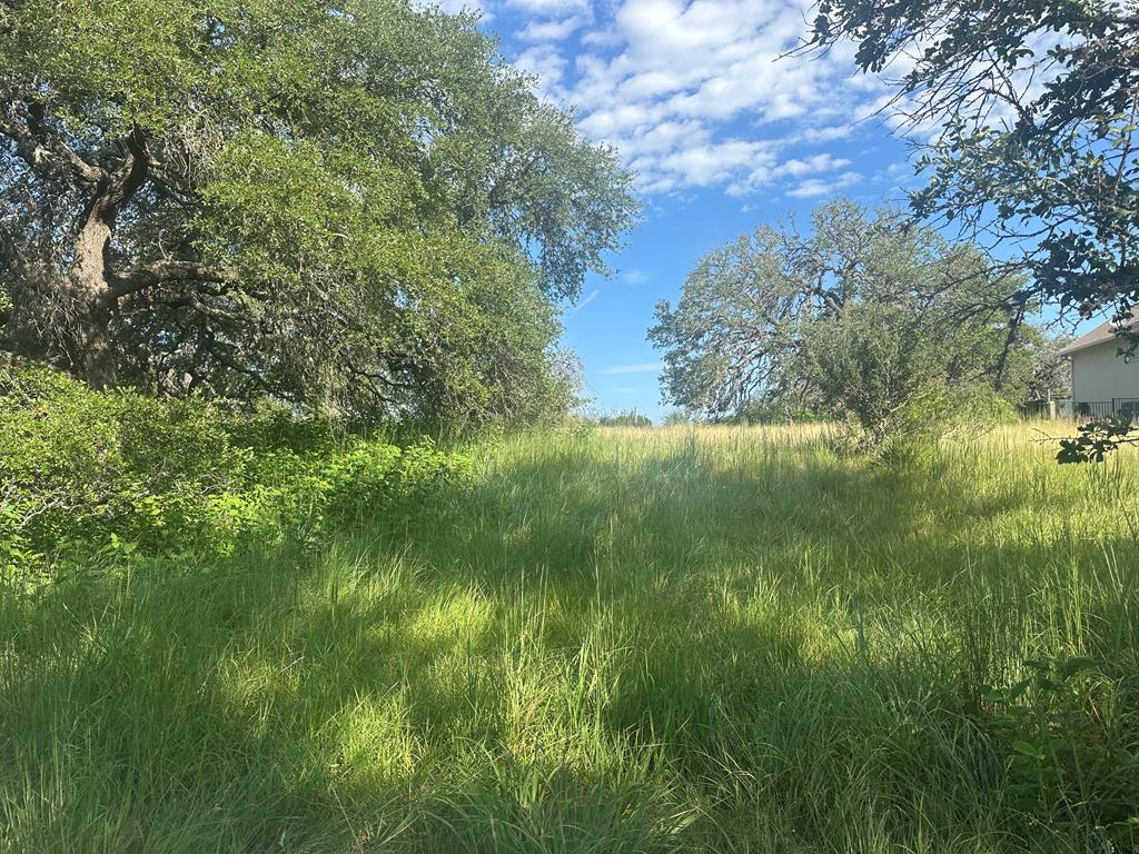 4032 Comanche Trace Drive Kerrville, TX 78028 - Photo 8 of 13 a view of a lush green space
