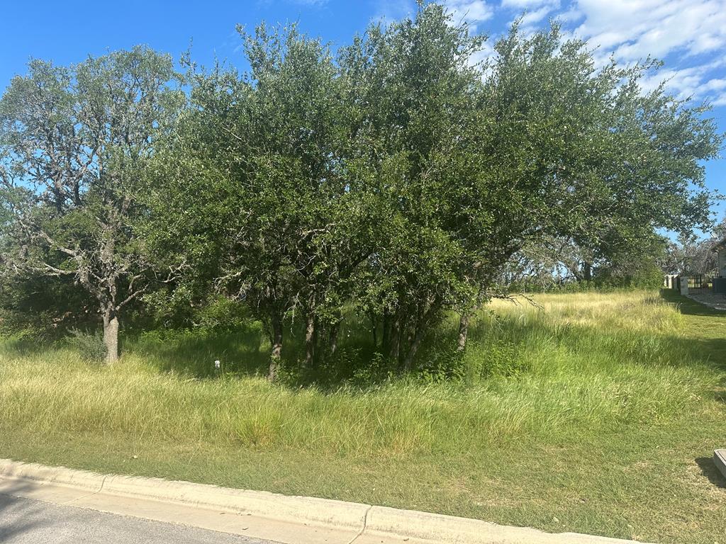 4032 Comanche Trace Drive Kerrville, TX 78028 - Photo 9 of 13 a view of a lake view with a garden
