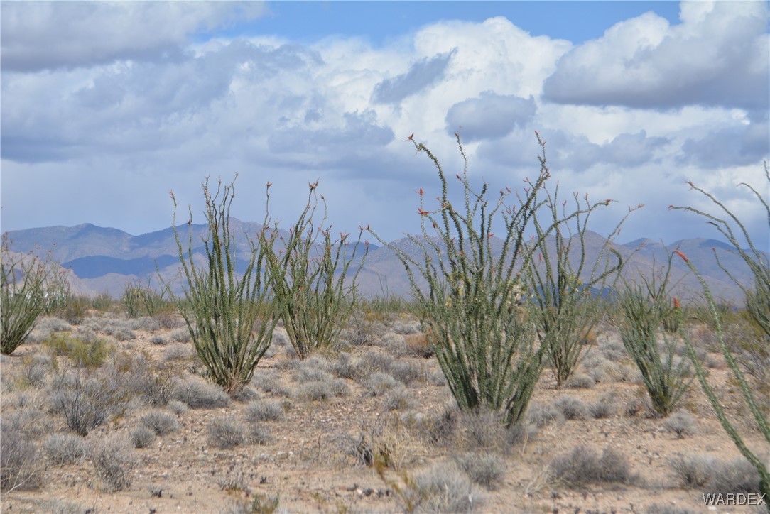 245-24-107 South Rainbow Road Yucca, AZ 86438 - Photo 63 of 91