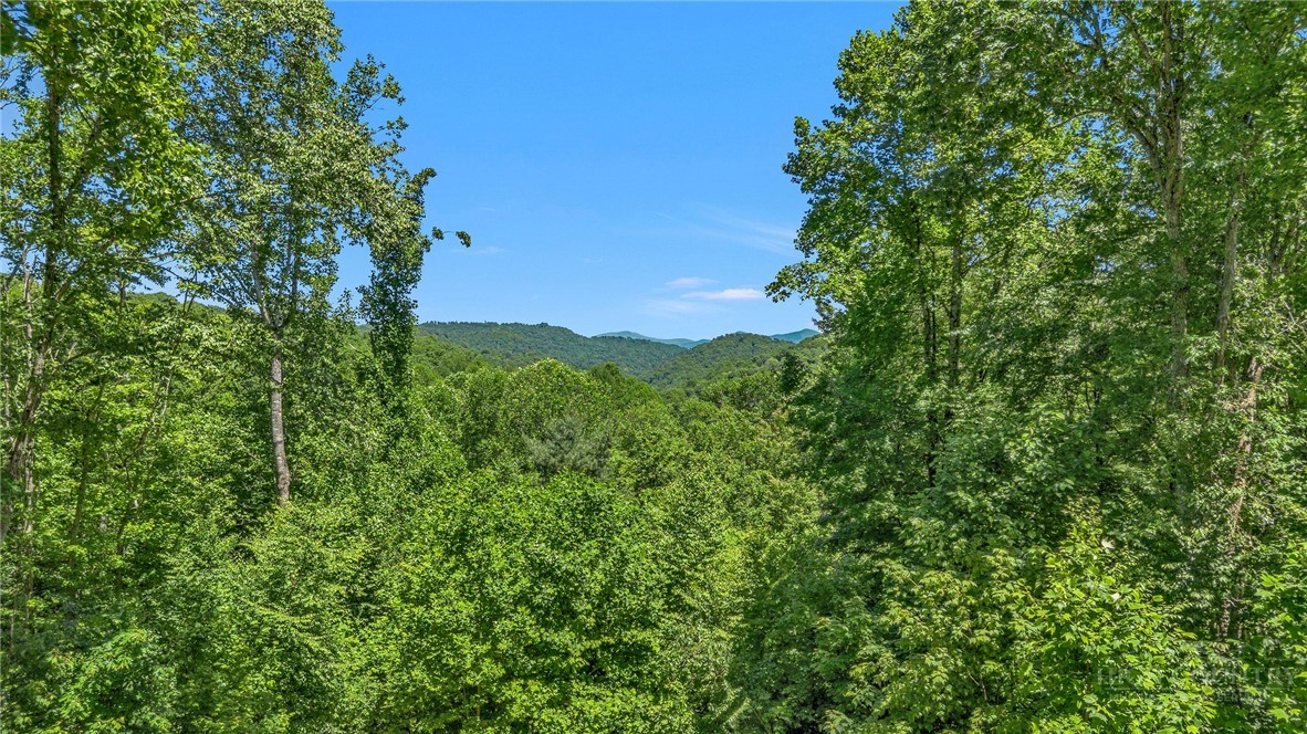 4098 Roundabout Road Creston, NC 28615 - Photo 3 of 50