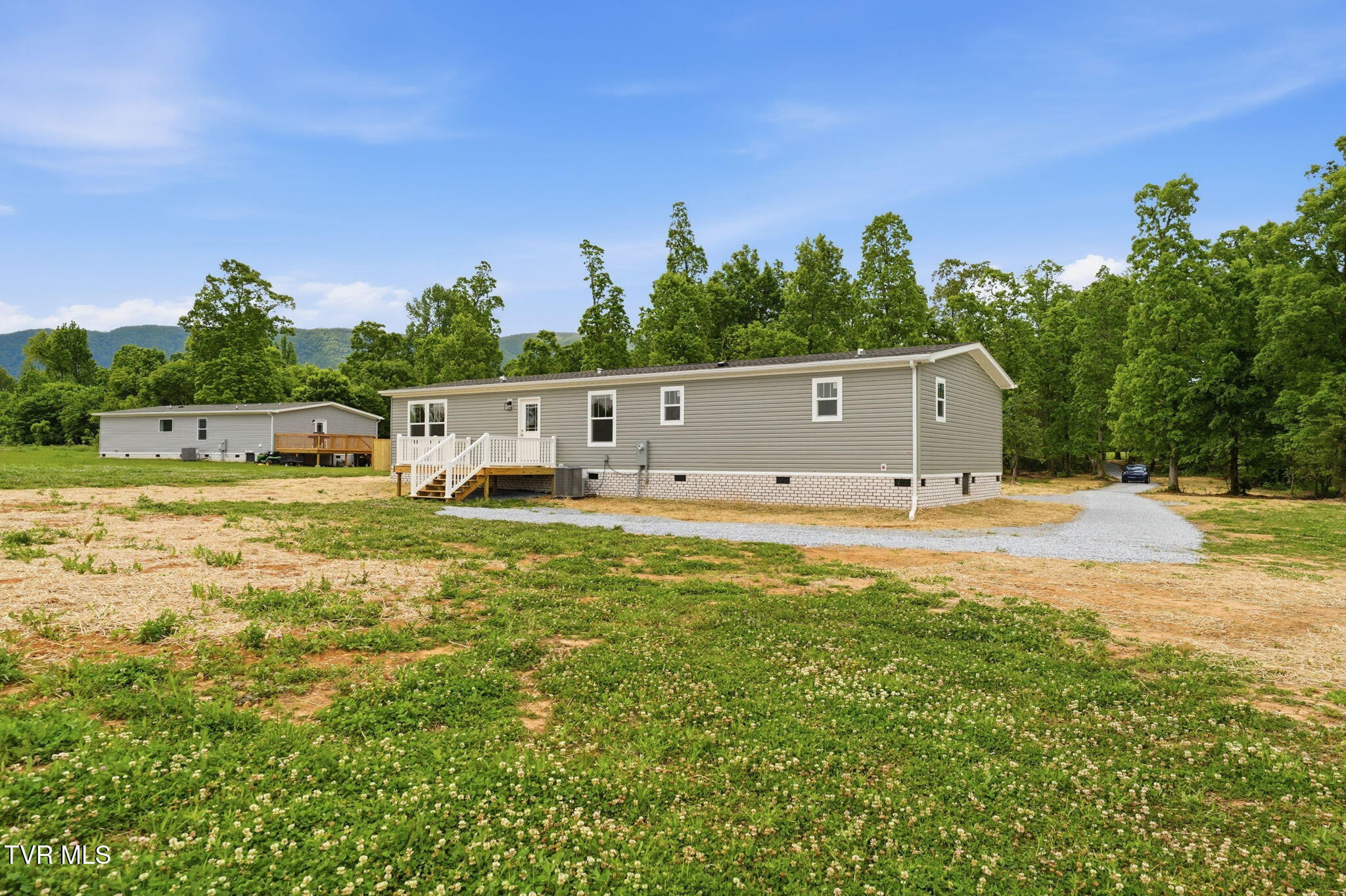 880 Ricker Road Greeneville, TN 37743 - Photo 6 of 29 BACK YARD