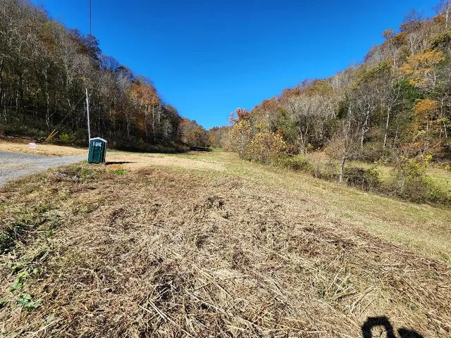 a view of a yard with trees