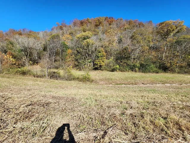 a view of a field with an outdoor space