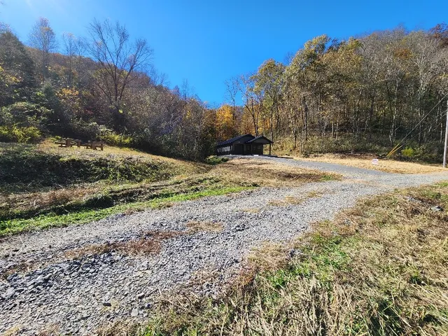 a view of dirt yard with a large tree