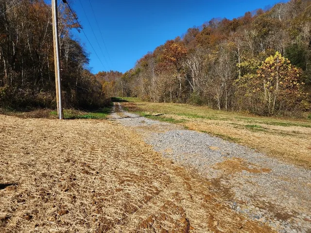 a view of a yard with mountain view