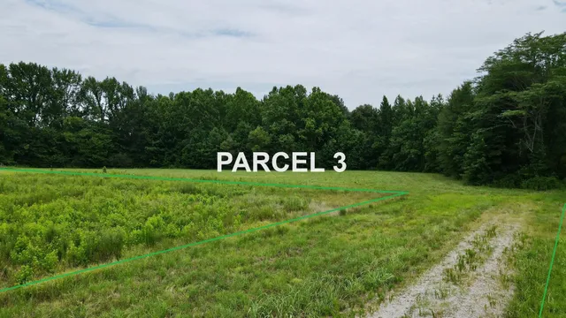 a view of a park that has a lots of bushes