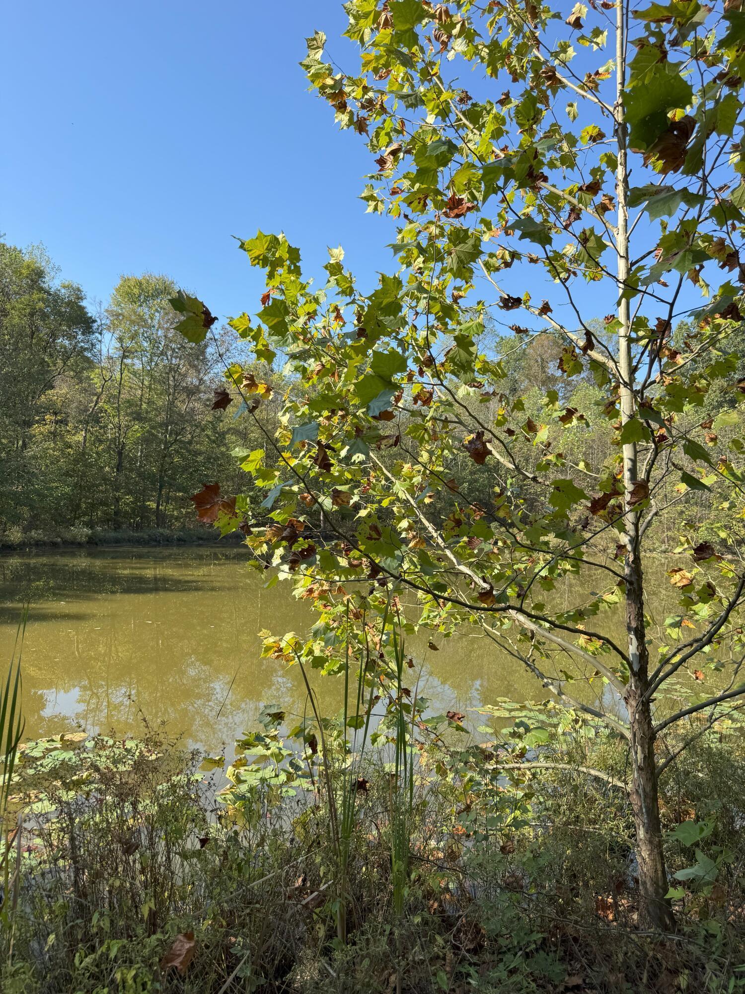 0 McKinney Road Piketon, OH 45661 - Photo 26 of 27 IMG_8930