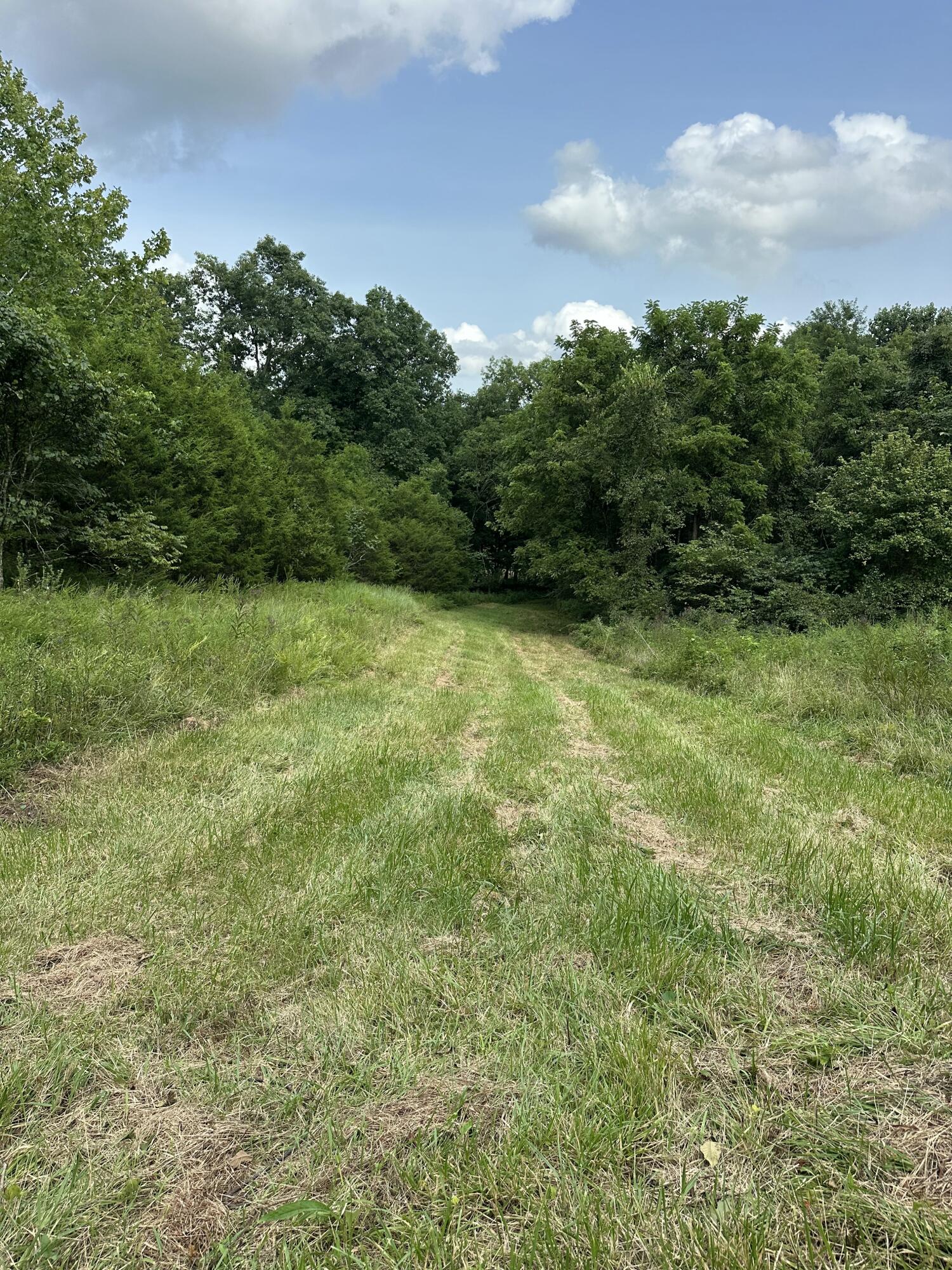 527 South Dividing Ridge Road Sadieville, KY 40370 - Photo 3 of 19 IMG_2755