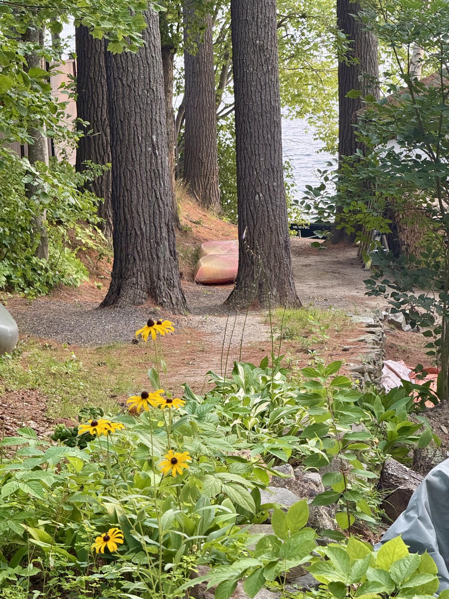 47 Watchic Road 19 Standish, ME 04084 - Photo 36 of 44 IMG_2915