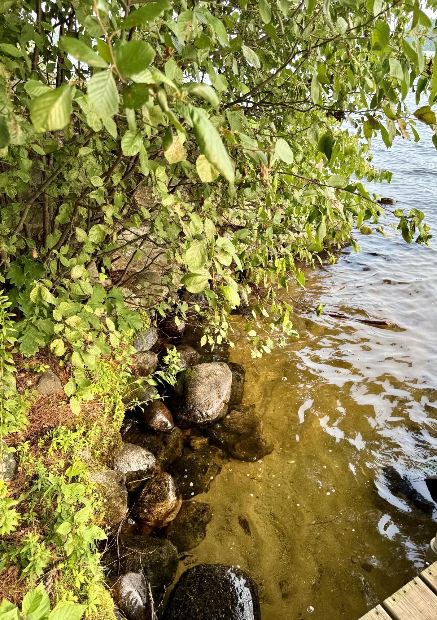 47 Watchic Road 19 Standish, ME 04084 - Photo 37 of 44 IMG_2910