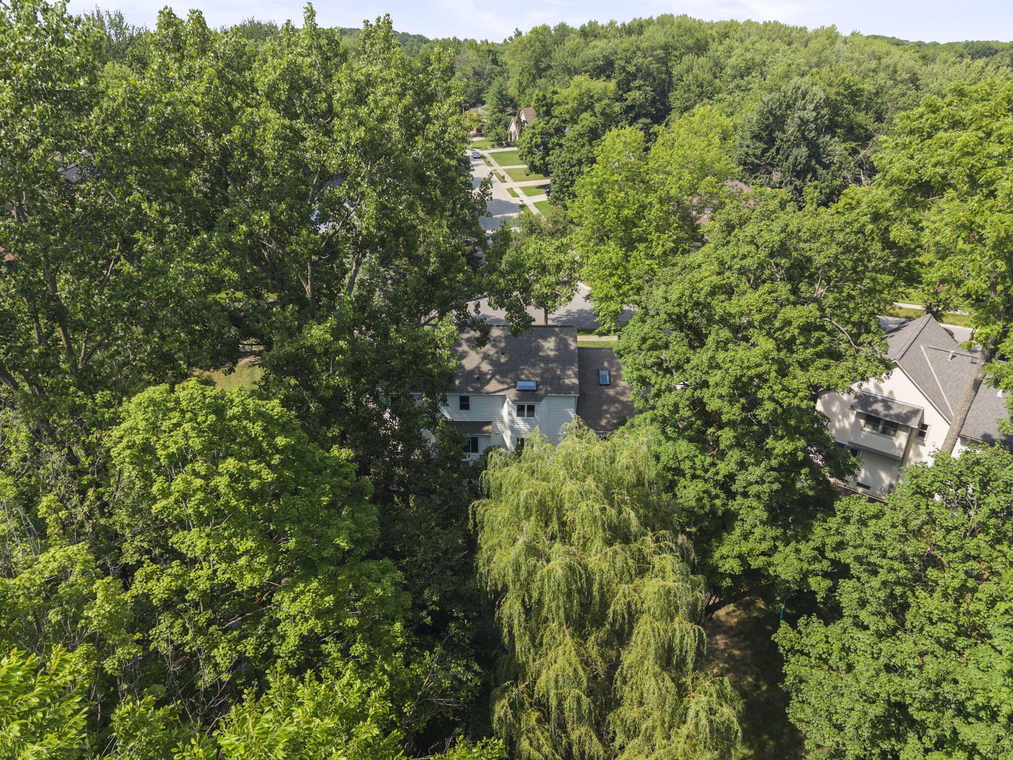 222 Beech Ridge Drive Powell, OH 43065 - Photo 73 of 82 72-web-or-mls-DJI_20260709162908_0376_D