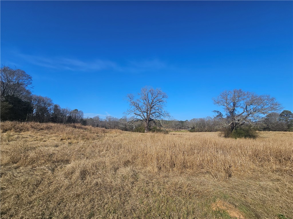 2 West Oak Highway Seneca, SC 29678 - Photo 11 of 38