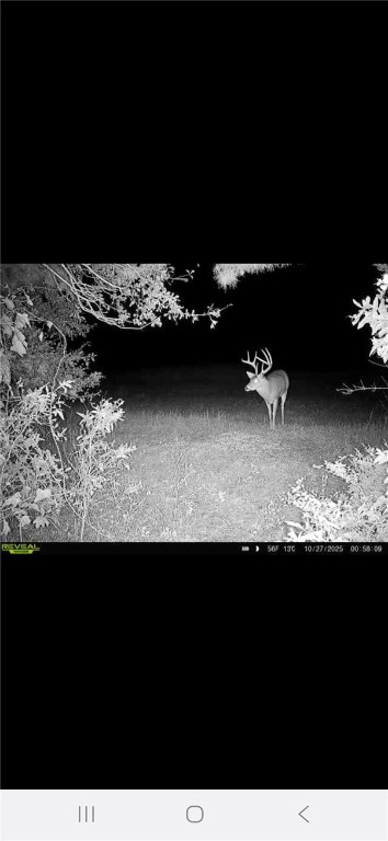 2 West Oak Highway Seneca, SC 29678 - Photo 20 of 38