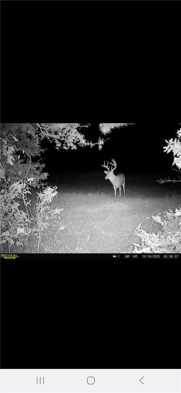 2 West Oak Highway Seneca, SC 29678 - Photo 21 of 38