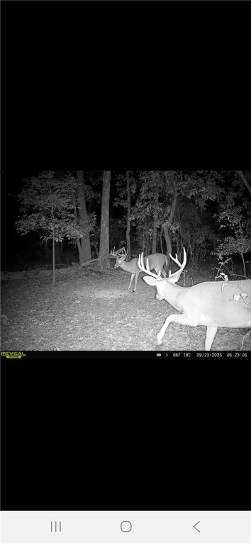 2 West Oak Highway Seneca, SC 29678 - Photo 22 of 38