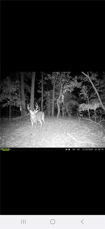 2 West Oak Highway Seneca, SC 29678 - Photo 24 of 38