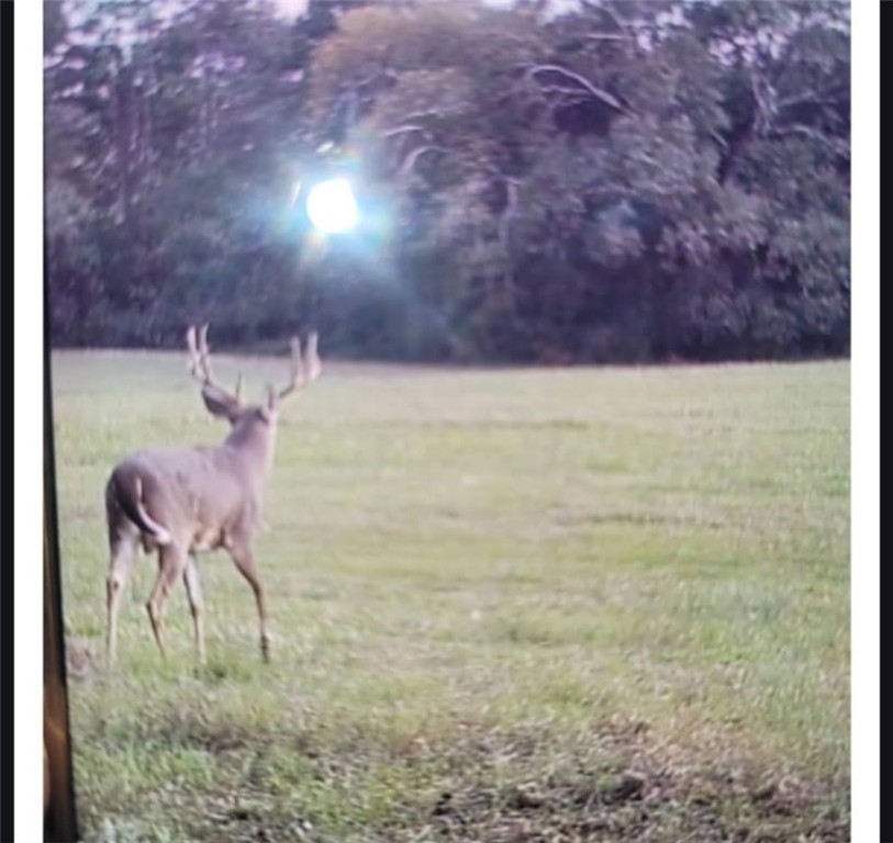 2 West Oak Highway Seneca, SC 29678 - Photo 30 of 38