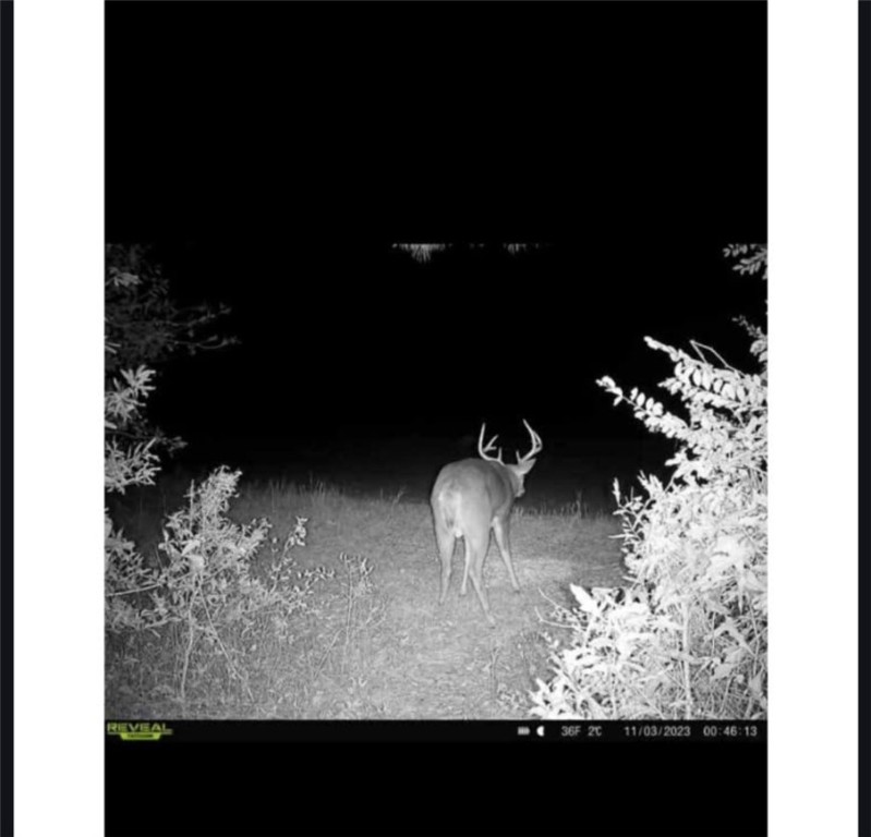 2 West Oak Highway Seneca, SC 29678 - Photo 31 of 38