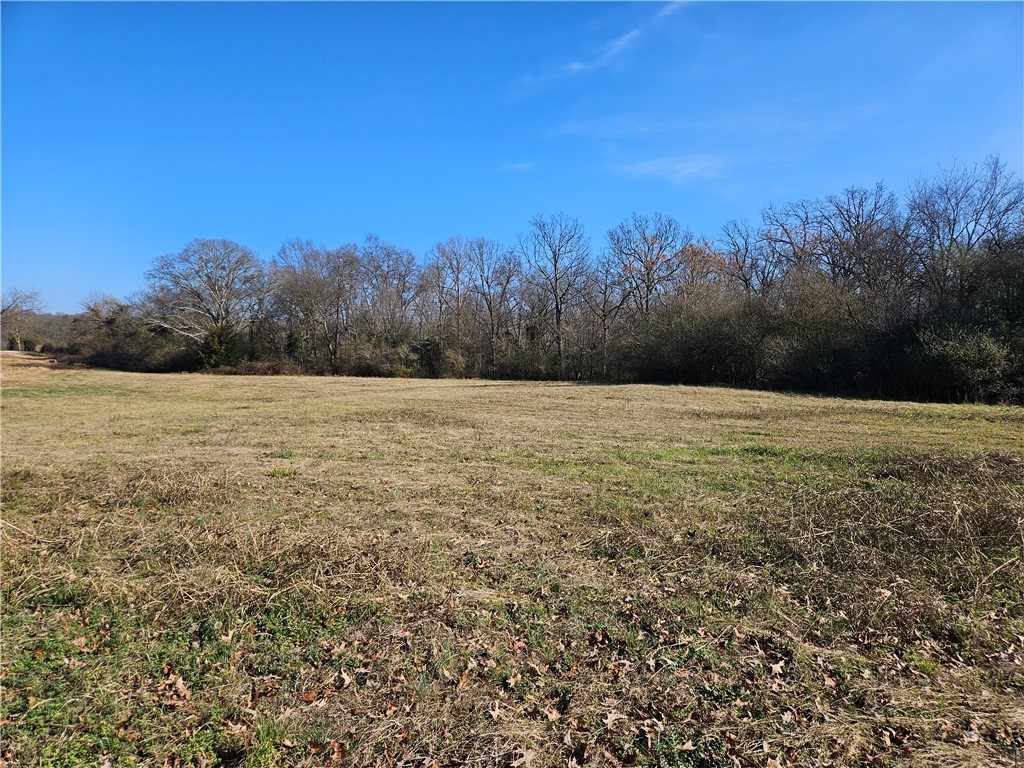 2 West Oak Highway Seneca, SC 29678 - Photo 4 of 38