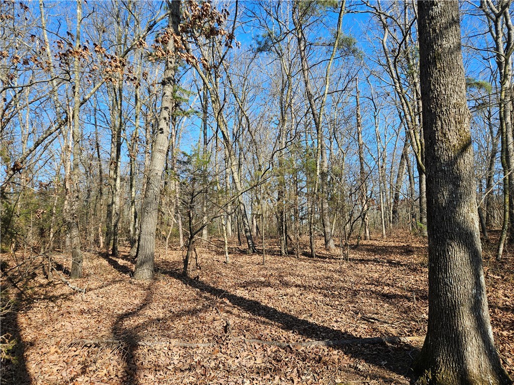 2 West Oak Highway Seneca, SC 29678 - Photo 8 of 38