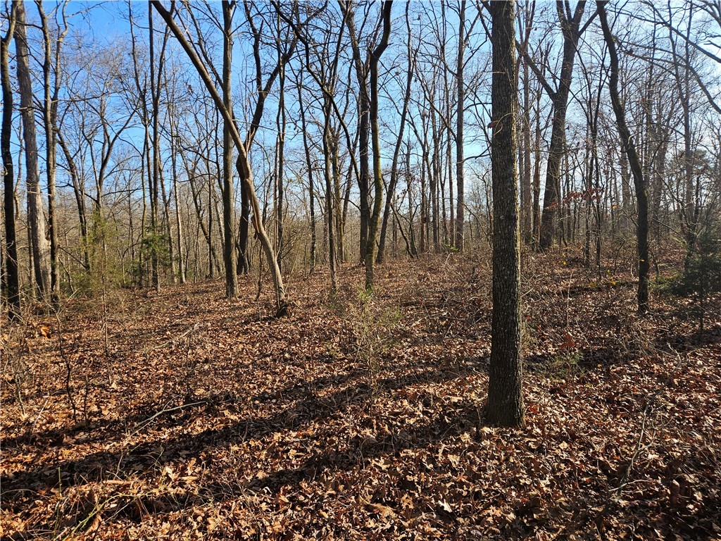 2 West Oak Highway Seneca, SC 29678 - Photo 9 of 38