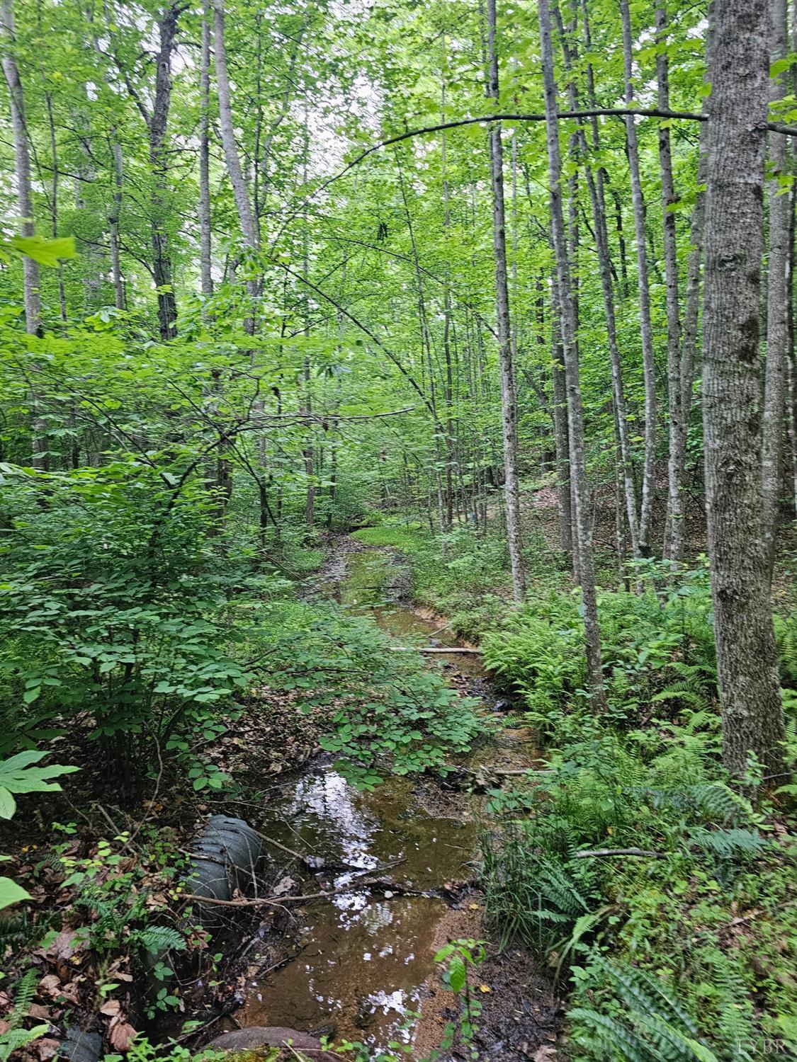 28 Christian Mill Creek Road Amherst, VA 24521 - Photo 1 of 13 Gallery Image 1