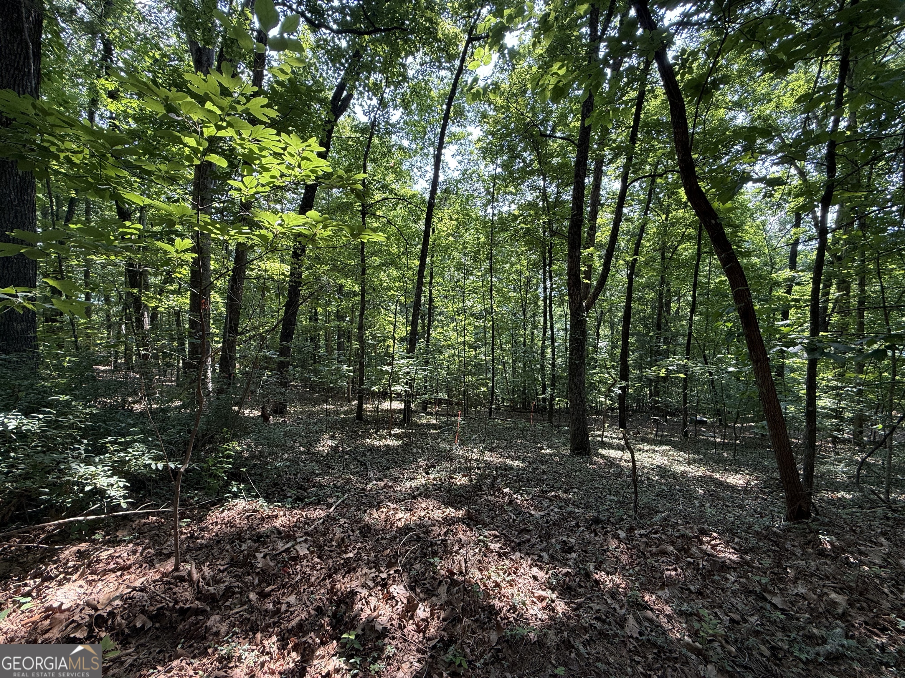 248 Ledford Chapel Road Hayesville, NC 28904 - Photo 24 of 24