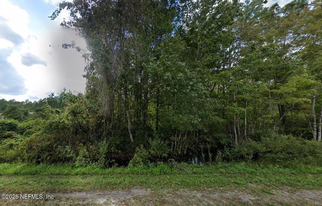 696 West River Road Palatka, FL 32177 - Photo 6 of 6 a view of a yard