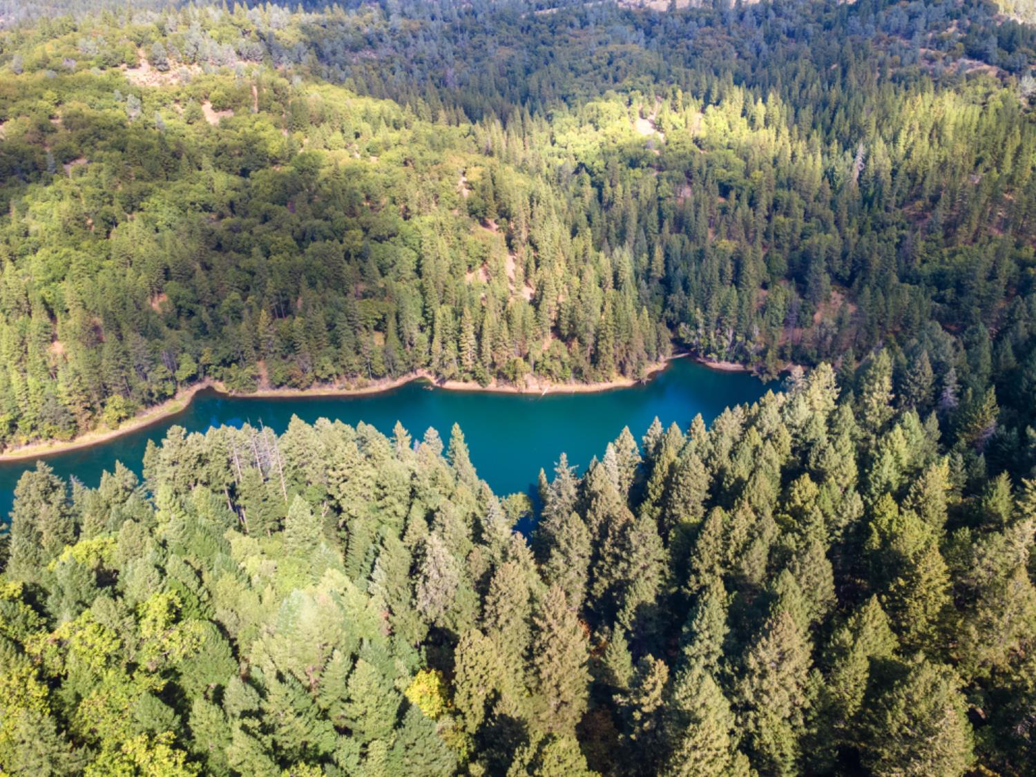 3765 Deer Canyon Road Placerville, CA 95667 - Photo 1 of 8