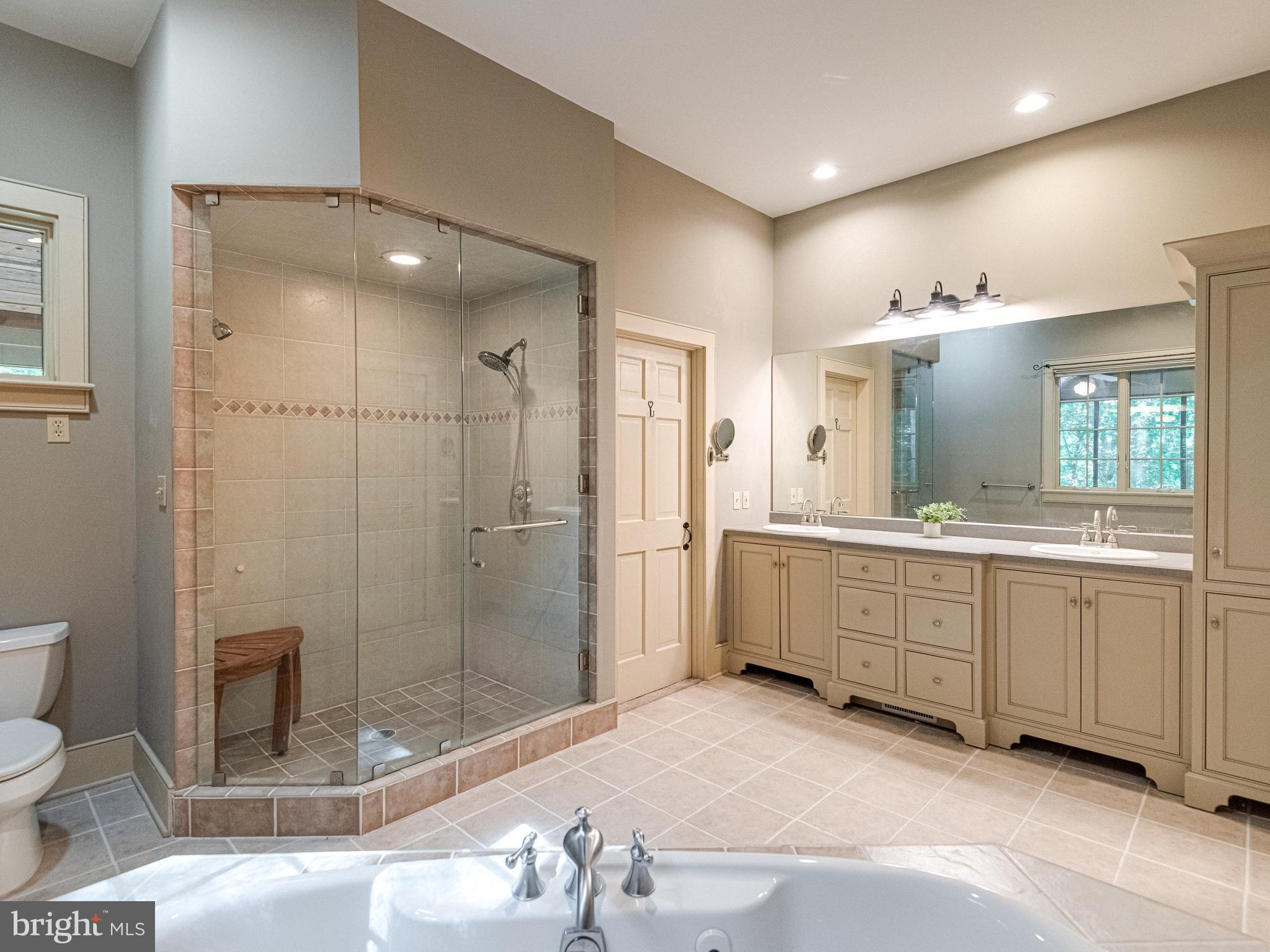 258 Bollinger Road Elverson, PA 19520 - Photo 42 of 96 primary ensuite bathroom