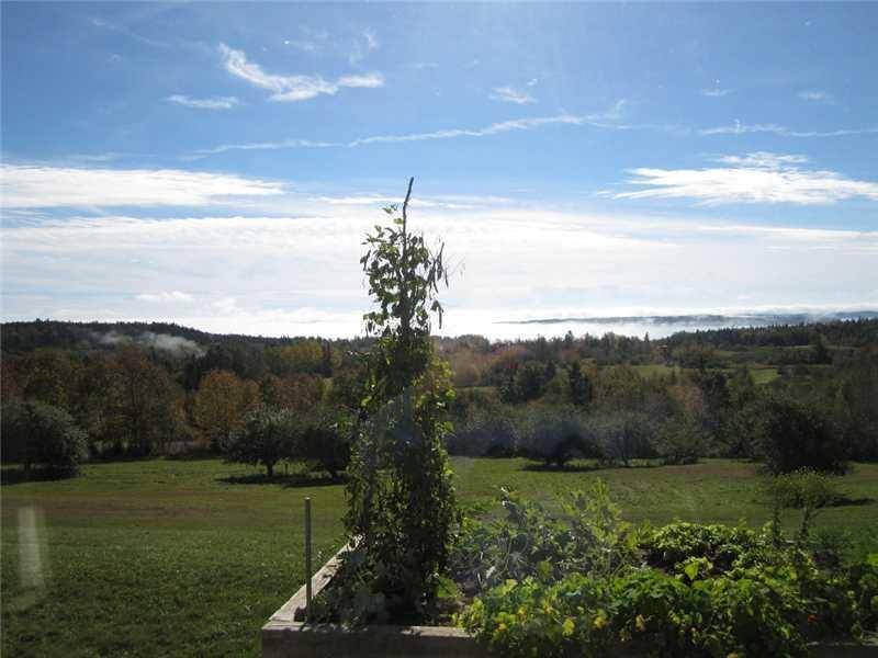 232 Cannon Hill Road Perry, ME 04667 - Photo 30 of 34 Land/Lot. Beans did good this year