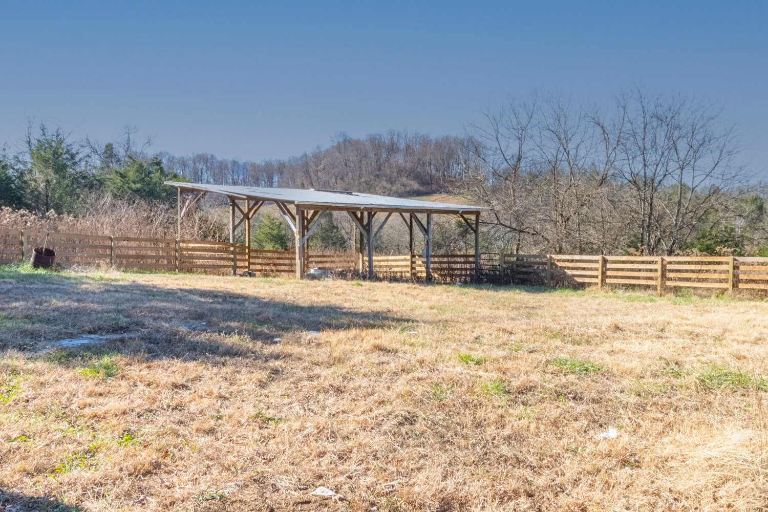 1277 Coosie Branch Road Cornersville, TN 37047 - Photo 28 of 47 a view of a yard