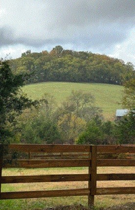 1277 Coosie Branch Road Cornersville, TN 37047 - Photo 39 of 47 a view of lake from balcony