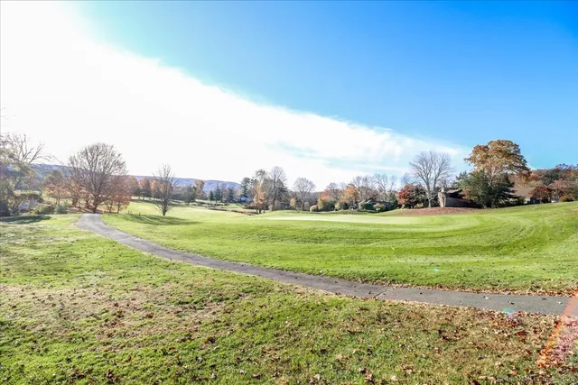 a view of field with grass and trees