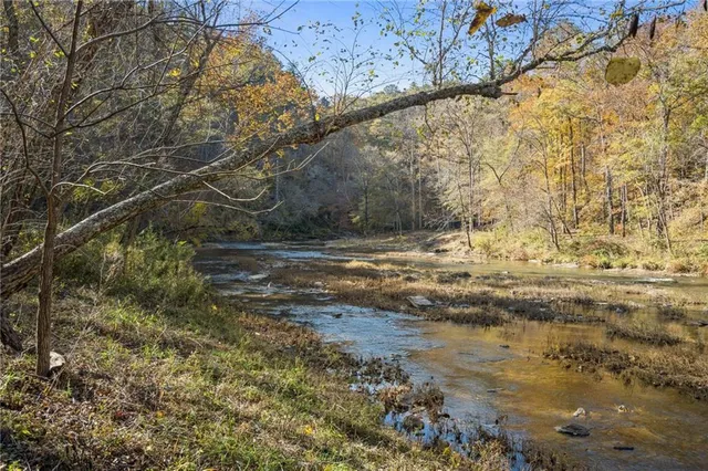 a view of a forest with lots of trees