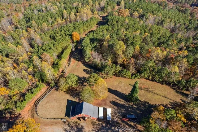 a view of a city with lush green forest