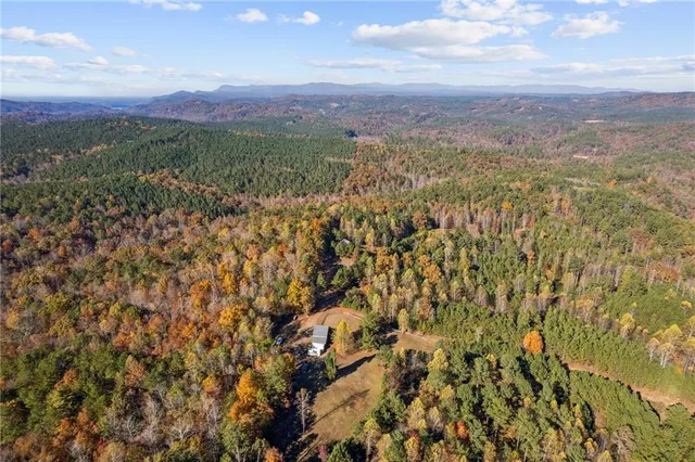a view of a house with a tree