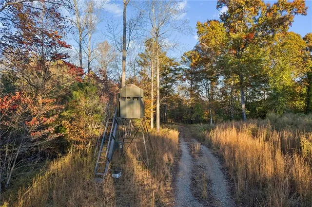 a view of a yard with plants and trees
