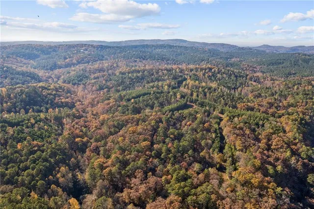 a view of a backyard of the house