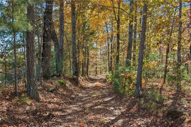 a small house with a trees in front of it