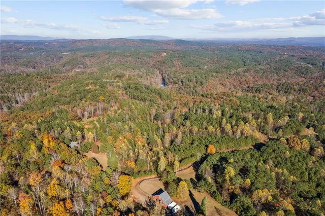 a view of a city with lush green forest