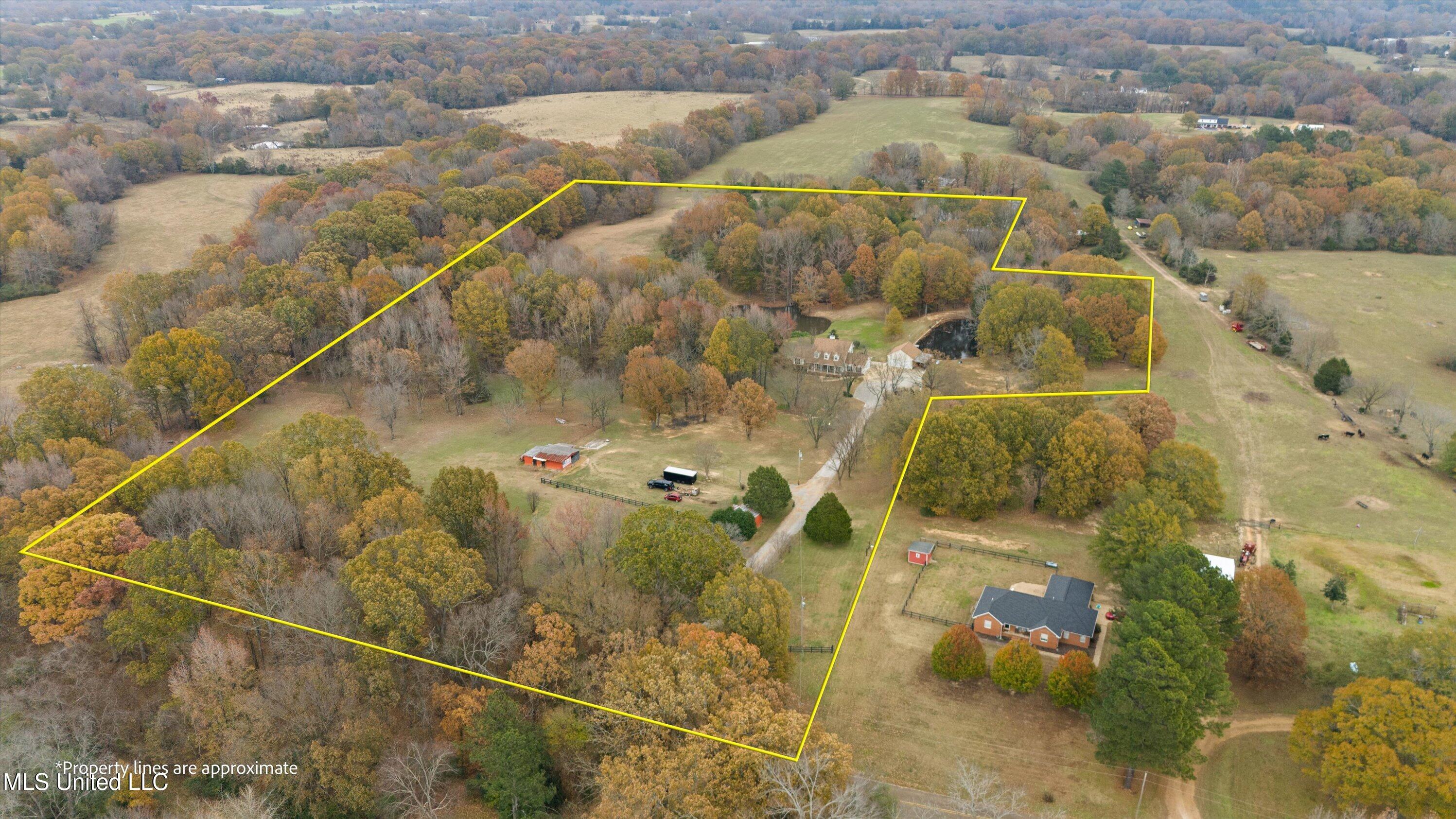 396 Fonzie Scott Road Coldwater, MS 38618 - Photo 4 of 56 53-Drone 7 w_lines