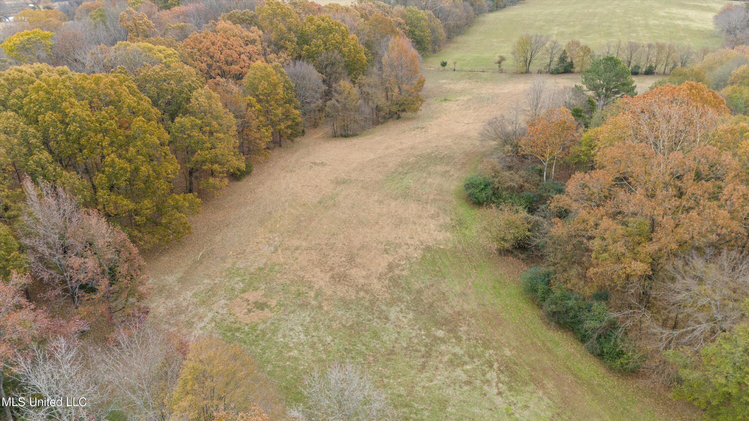 396 Fonzie Scott Road Coldwater, MS 38618 - Photo 50 of 56 48-Drone 3