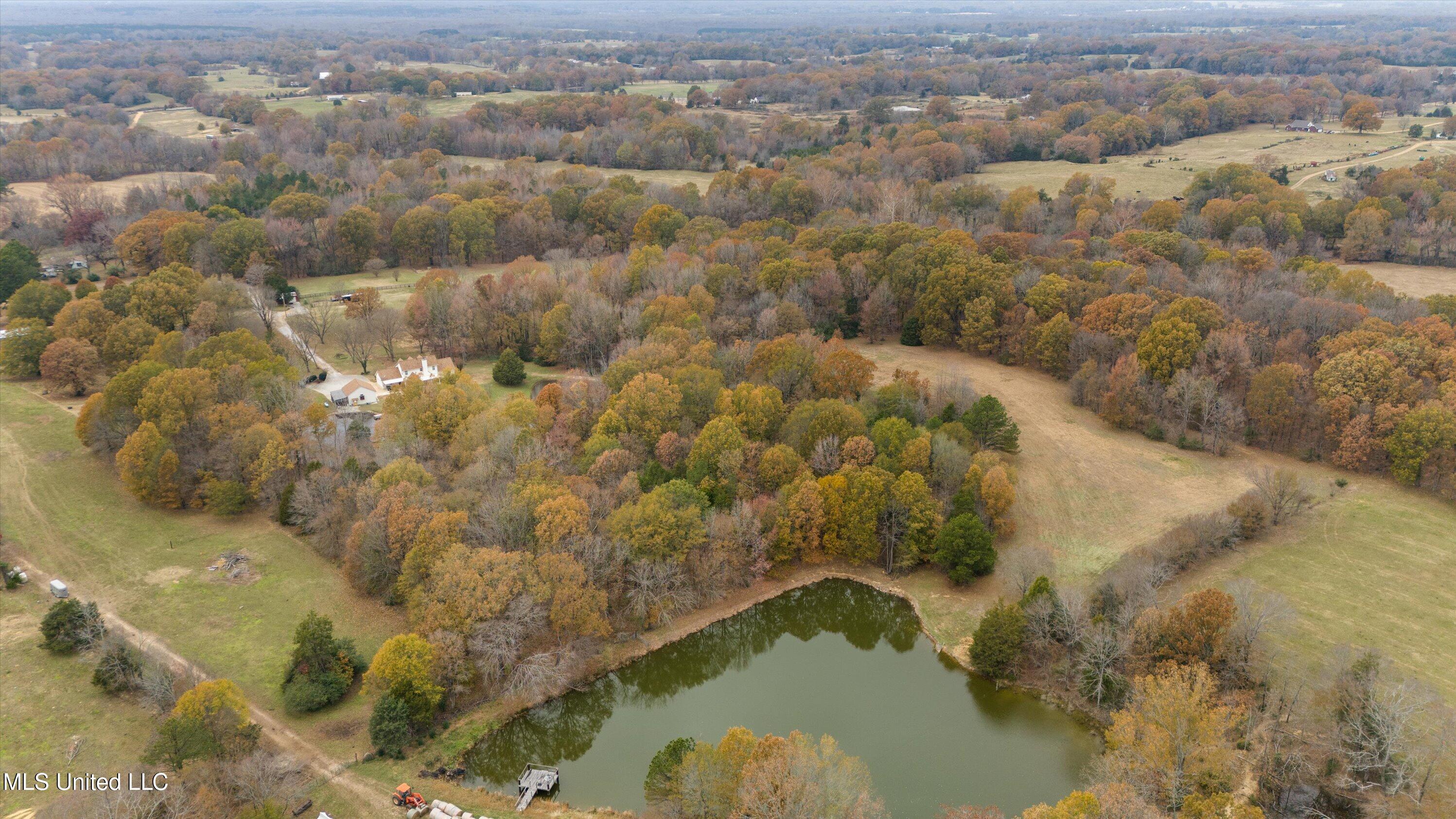 396 Fonzie Scott Road Coldwater, MS 38618 - Photo 55 of 56 54-Drone 8
