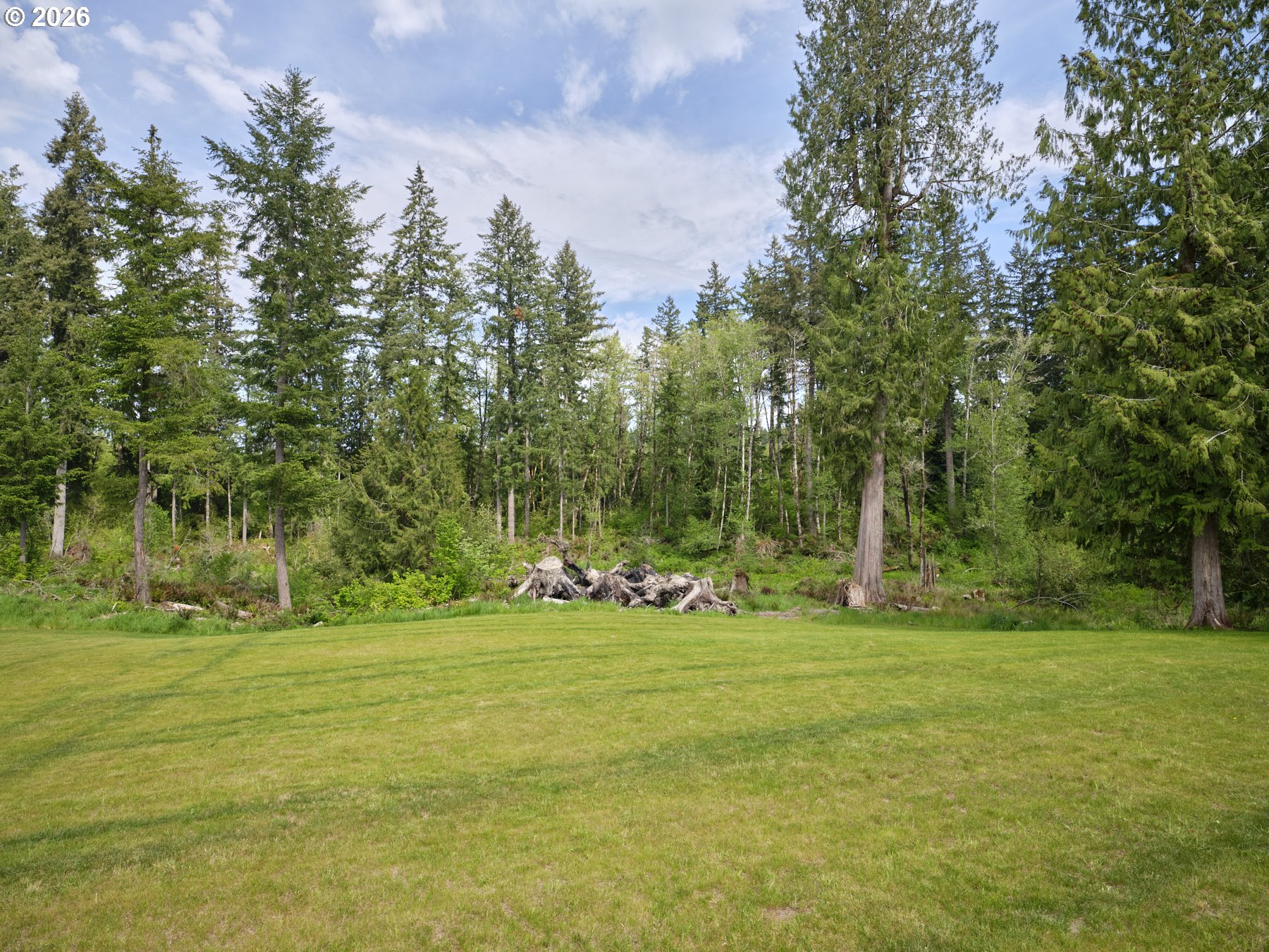 312 Little Valley Lane Castle Rock, WA 98611 - Photo 43 of 48 Yard