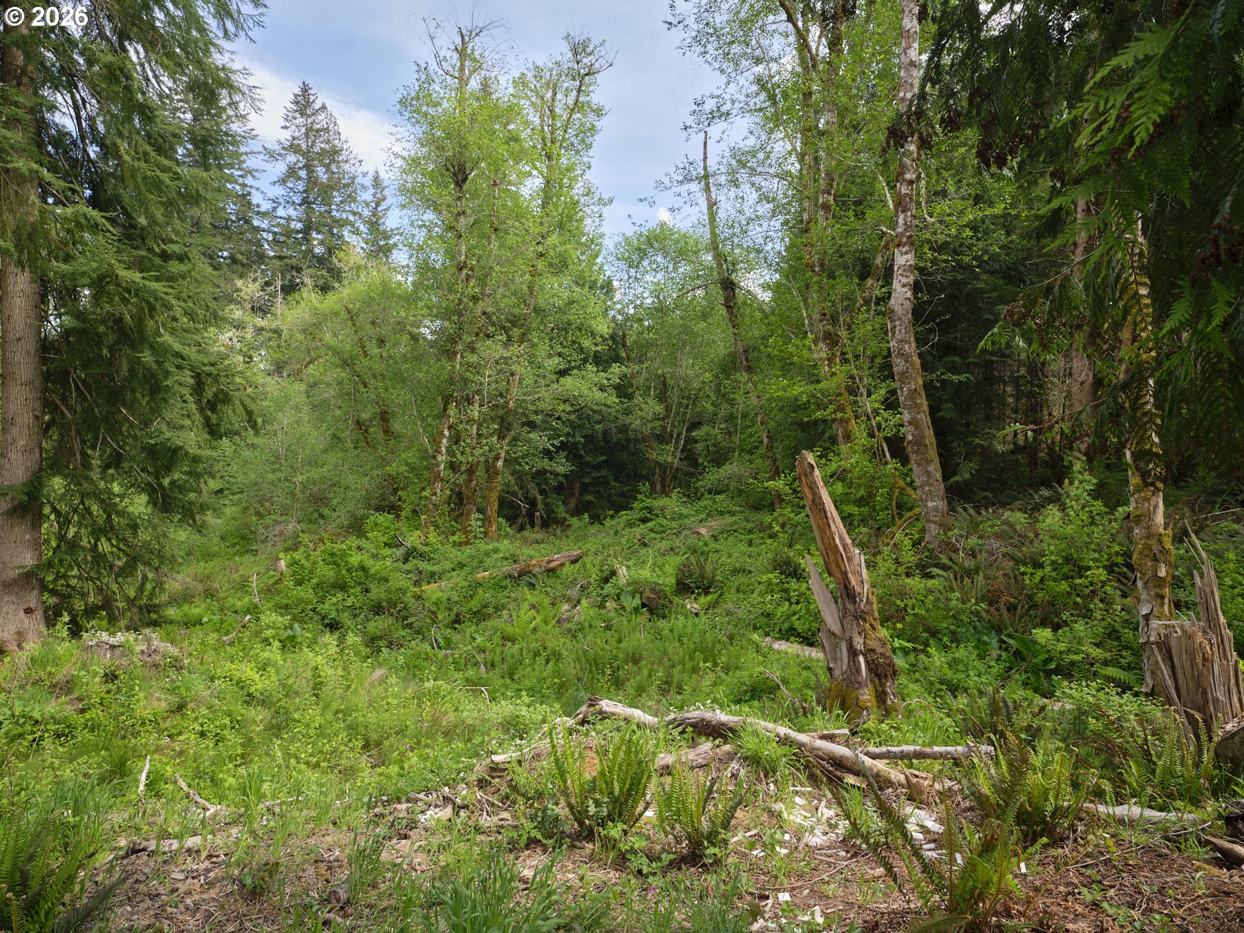 312 Little Valley Lane Castle Rock, WA 98611 - Photo 46 of 48 Yard